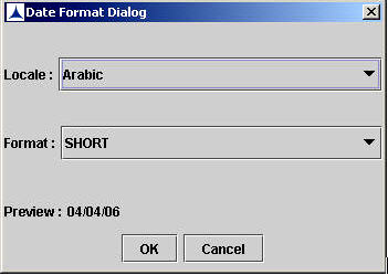 Date Format Dialog Box