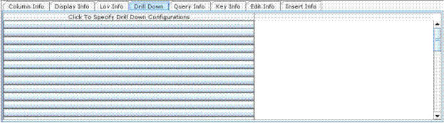 Viewer Configuration-DrilldownTab